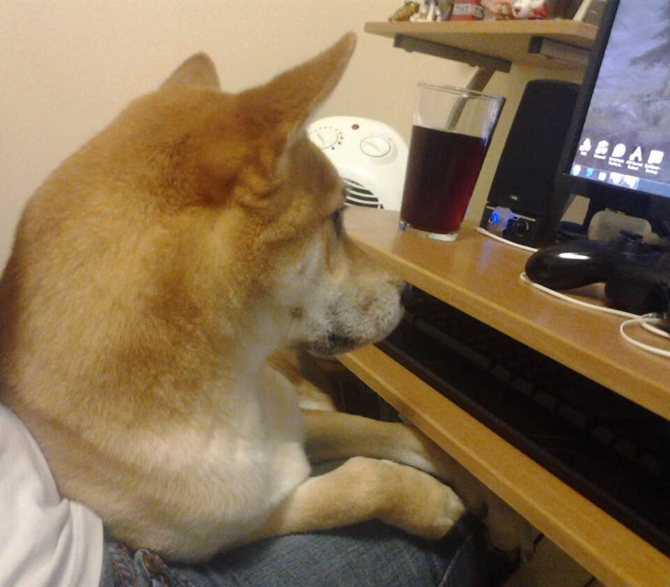 唯一对决,阿森纳vs伊朗,巴尔韦德生涯之夜闪耀全场