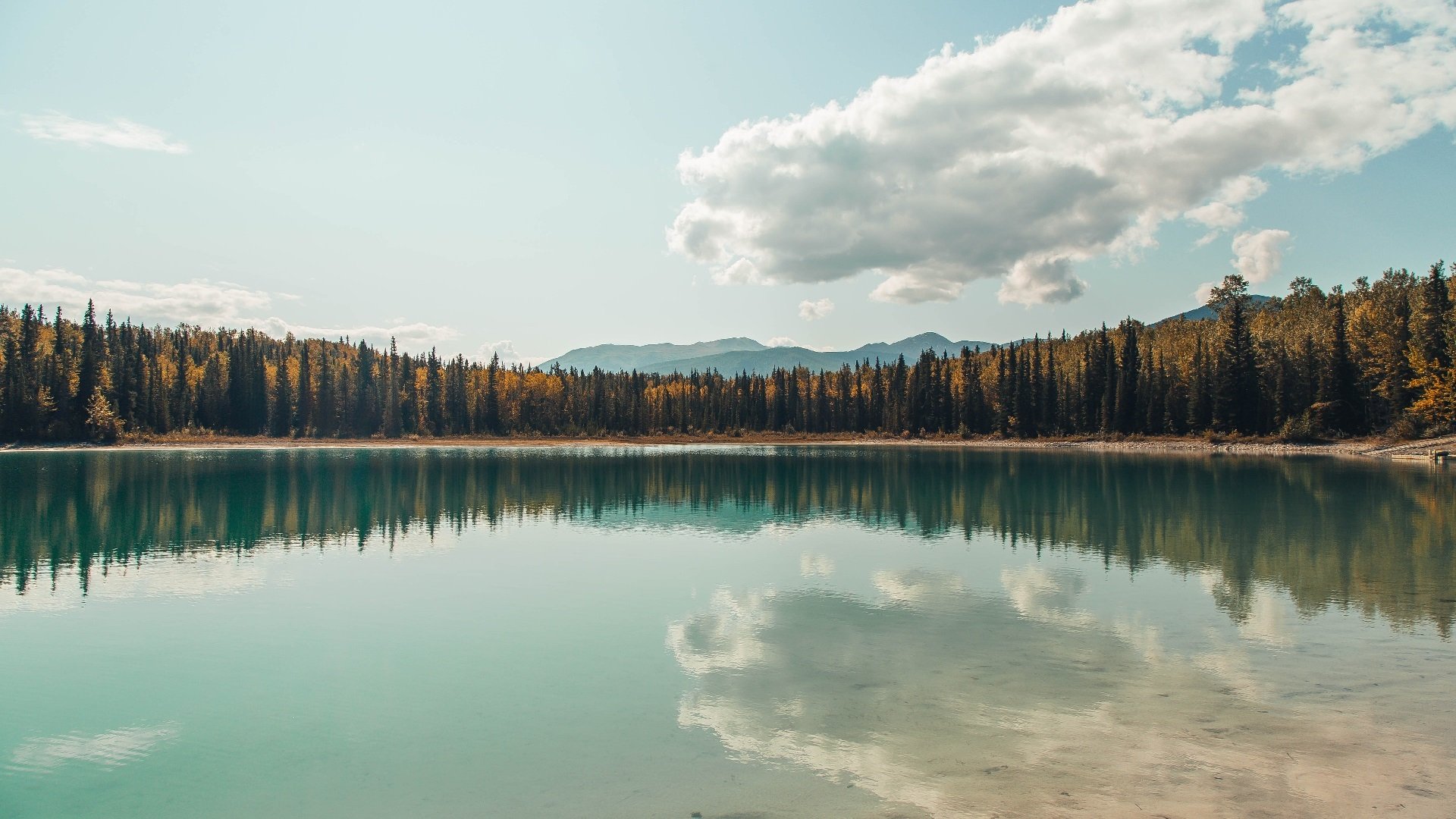 锁链与烈焰,小贾伦的灰烬重生记