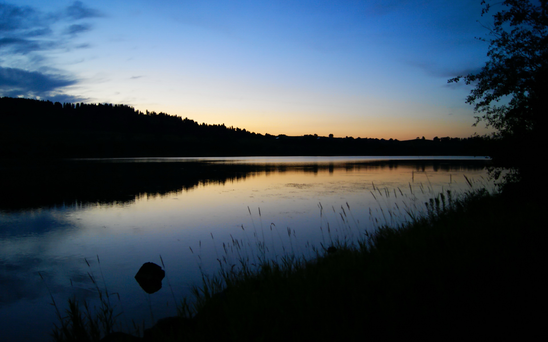 梦想照进现实的双重奏，当突尼斯掀翻巨人，孙兴慜加冕欧冠