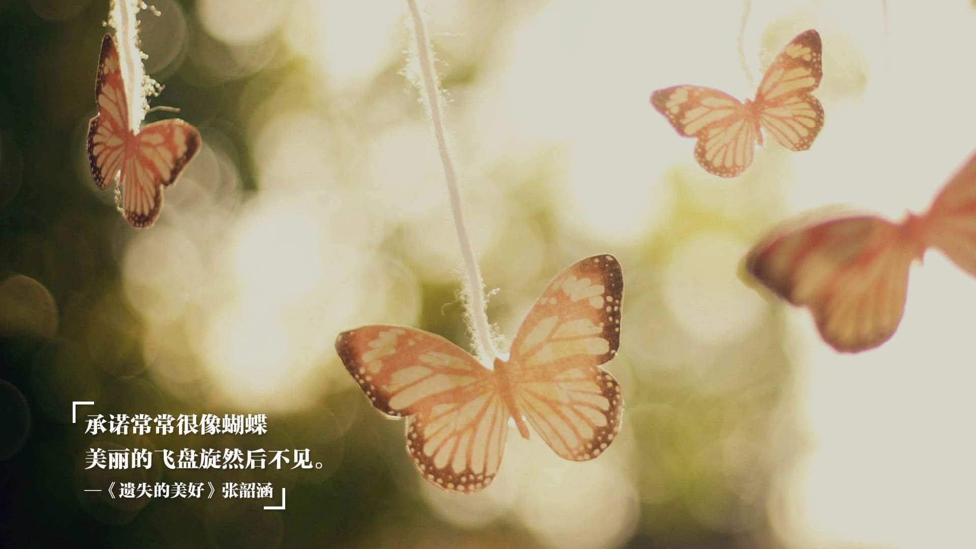 从北半球到南十字星,当凯恩的钢铁意志照亮塞维利亚之夜,新西兰的鏖战精神在绿茵场回响