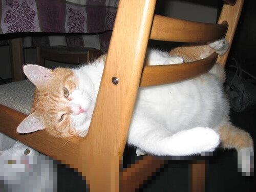 虚构的战场,当冰岛奇迹遇见非洲雄狮,哈弗茨如何化身终极雇佣兵改写结局?