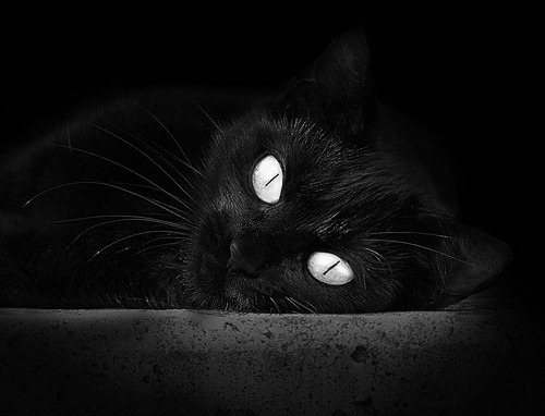 决胜千钧一发,当篮球绝杀遇见赛车超车,唯一性如何炼成