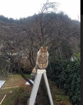 当穆勒的节拍器遇上巴萨的Tiki-Taka,一场改变足球认知的相遇