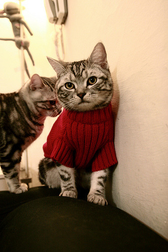 库尔图瓦，守护神降临！澳大利亚人掀翻英格兰