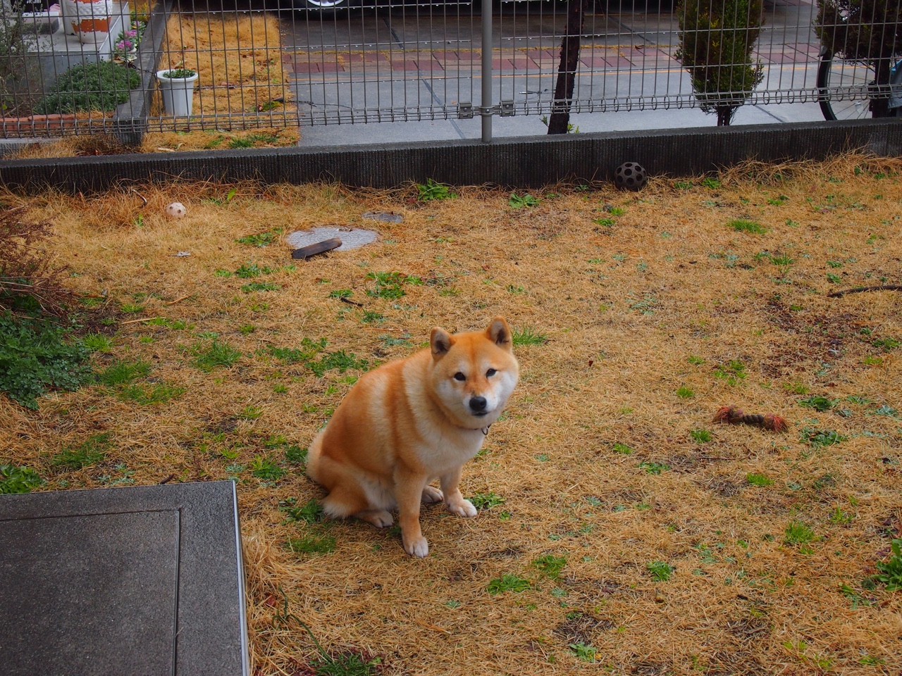 阿克！蓝月暗夜中最稳的礁石