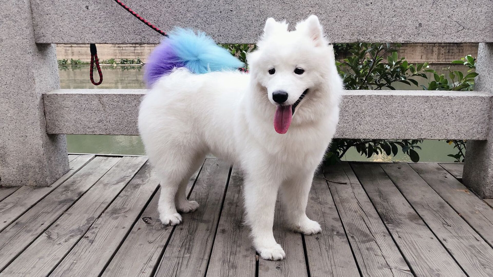 时光之战，当马竞铁血遭遇伊拉克烽火，C罗在平行时空的胜负手