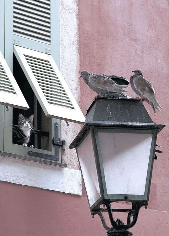 当波斯铁骑遇见高卢雄鸡，黄喜灿的无解方程式如何成为战术教科书中的幽灵章节？