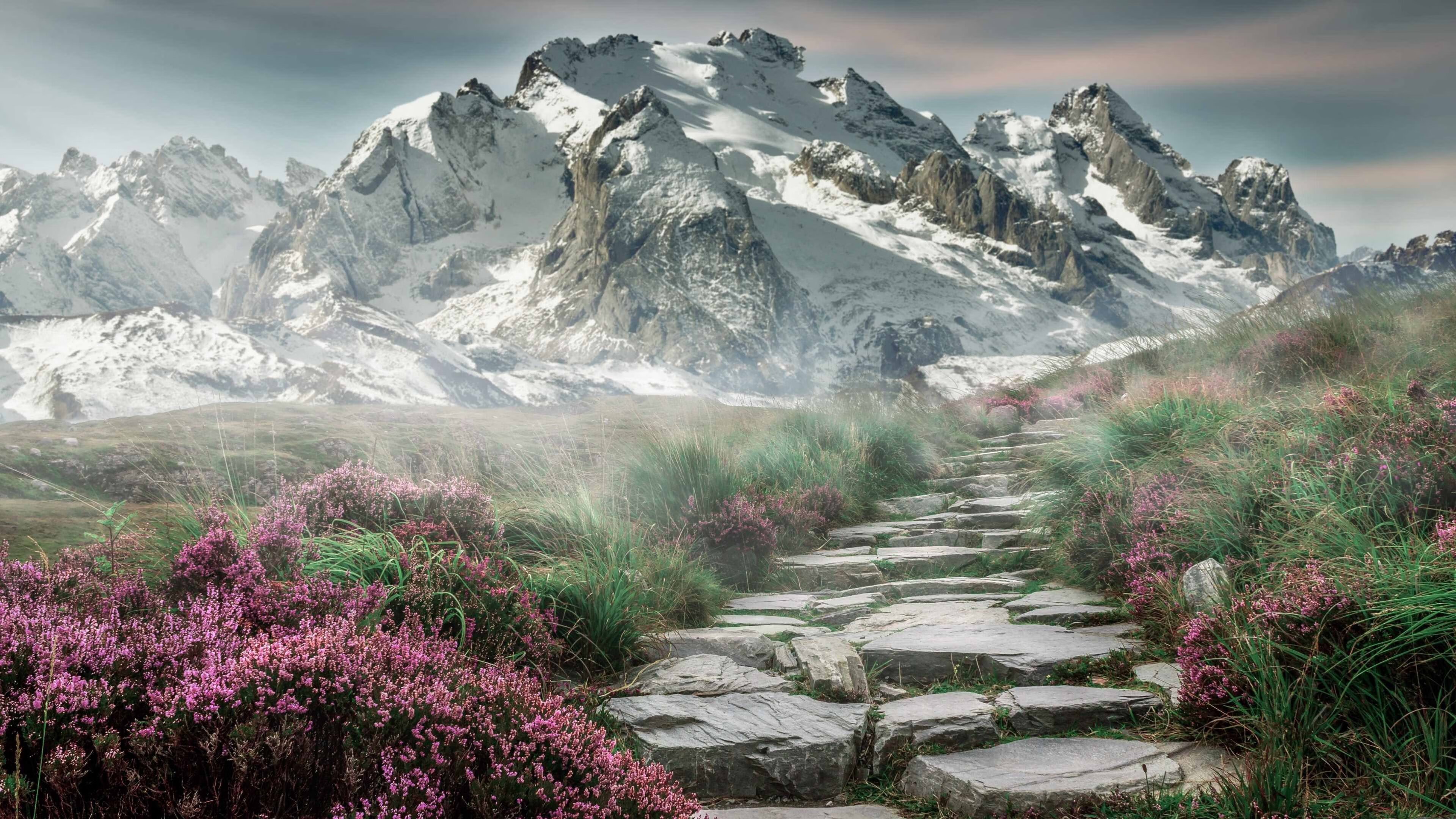 戈贝尔终场封盖锁定胜局，奇才惊天翻盘魔术