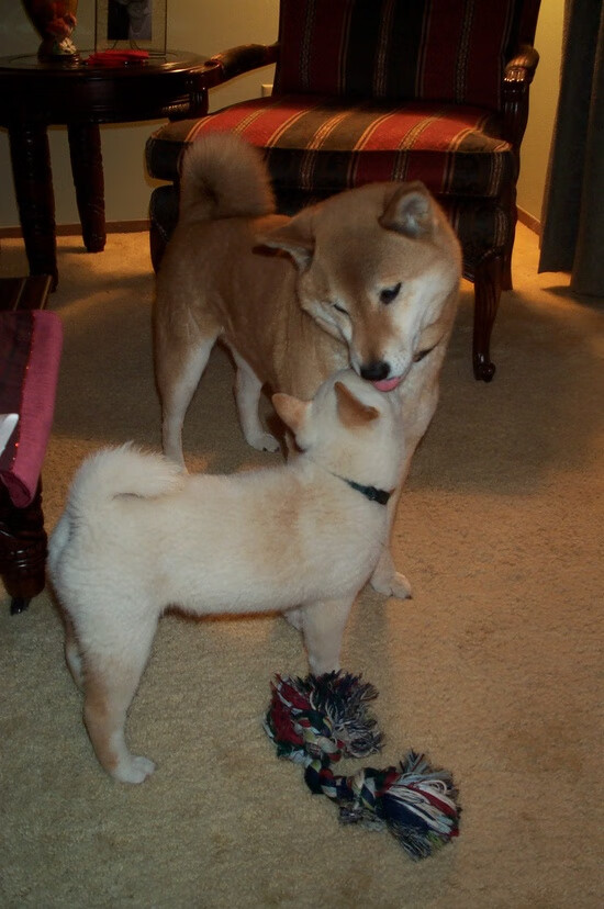 你提出的关键词充满画面感与竞技张力，这是一个将具体事件与宏大背景相结合的绝佳主题。我们从扩展思维开始