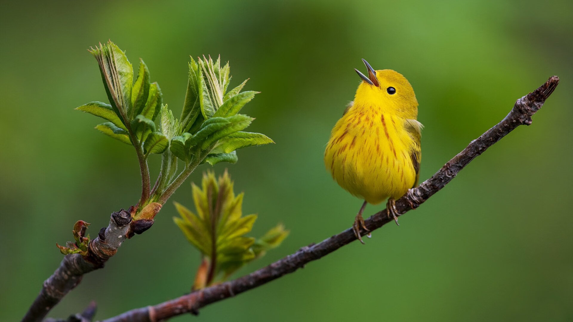 开云体育平台APP-绿茵西决,当玻利维亚逆转史诗映照姆巴佩的生死接管