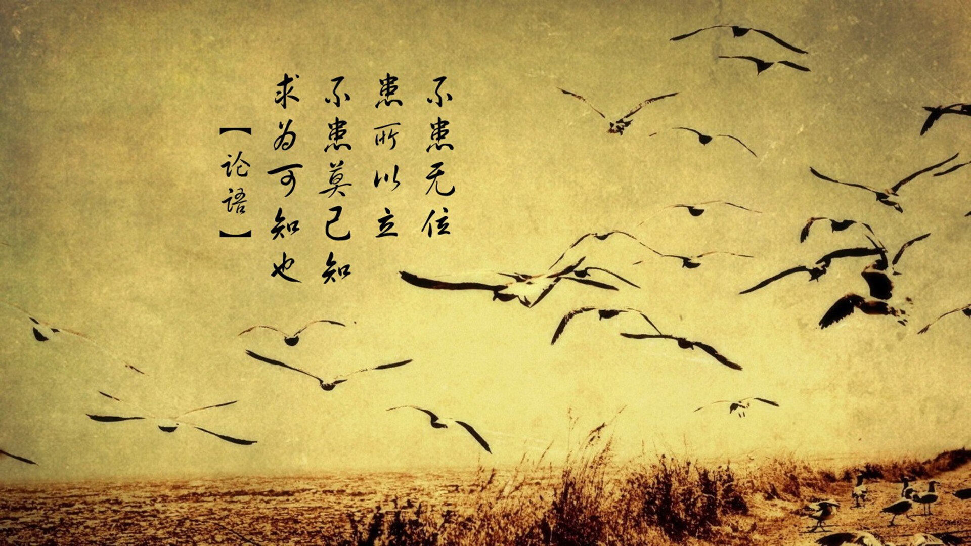 开云体育-平行宇宙之战,布伦森降世风城,公牛血战逆转太阳