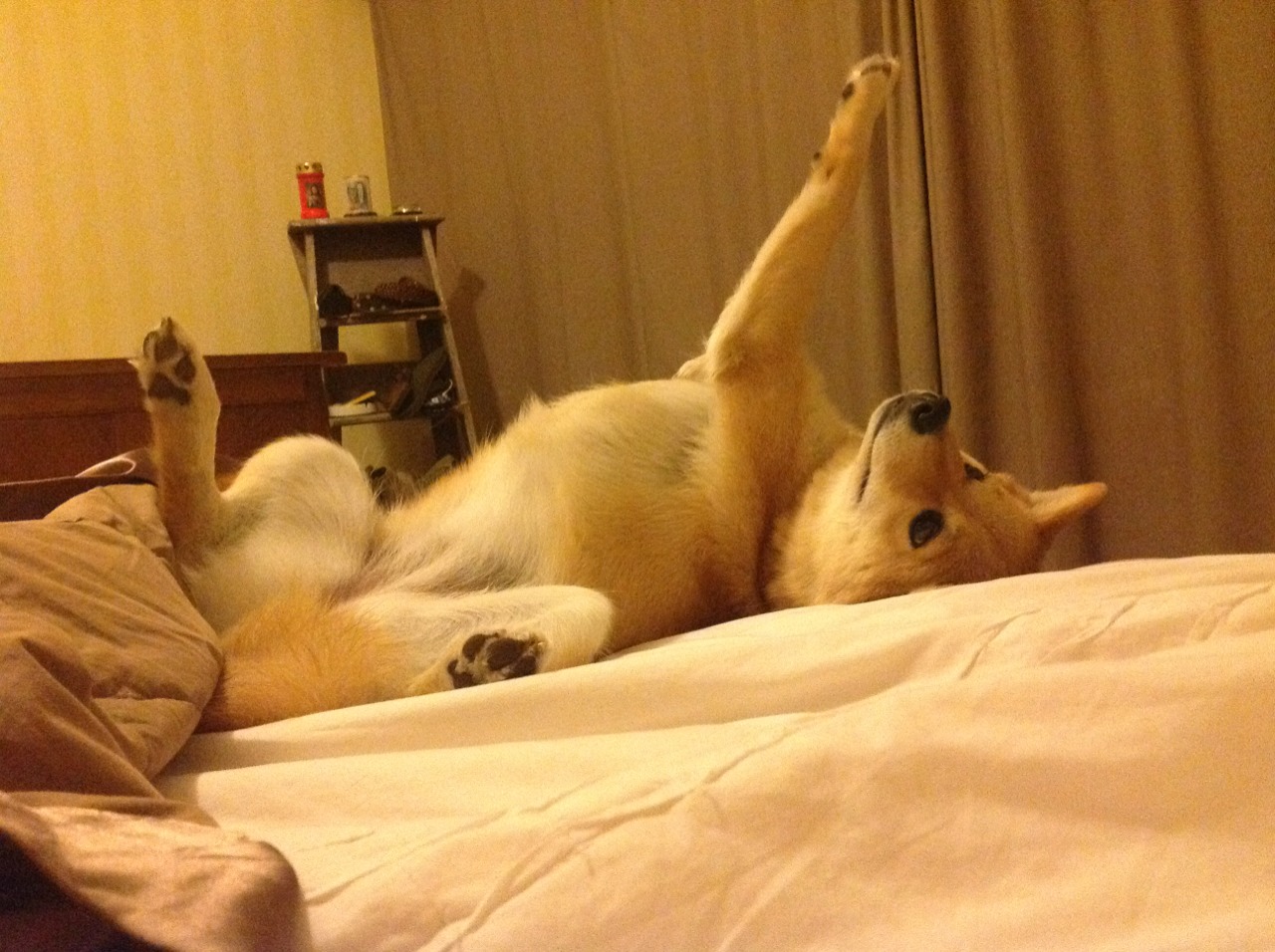 西甲国家德比之夜，当拉梅洛成为那面不可逾越的盾牌