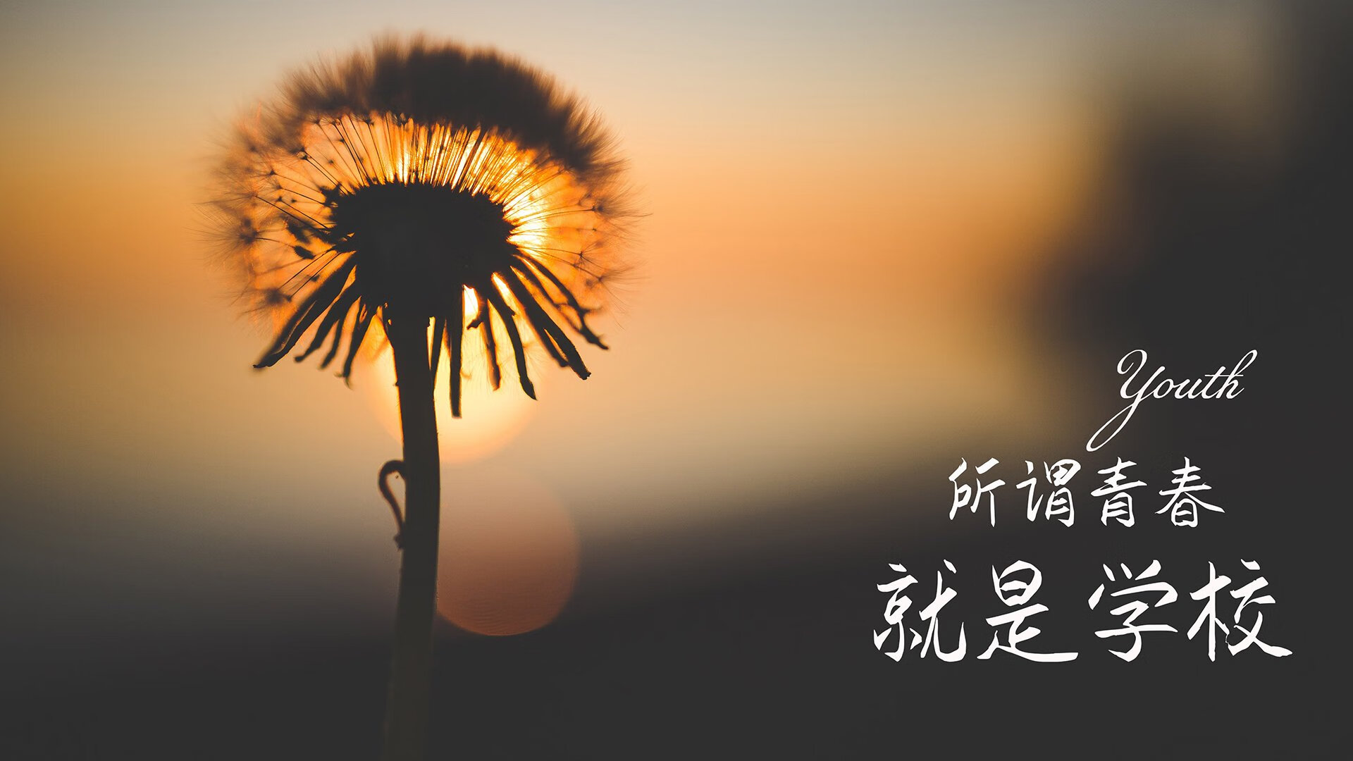 玫瑰王国击碎武士道，哈基米的代码，H组的血色预言