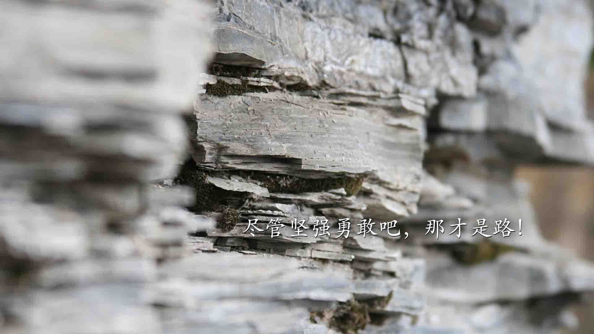 E组生死局，波兰绝杀保加利亚，哈基米用节奏掌控书写北非传奇