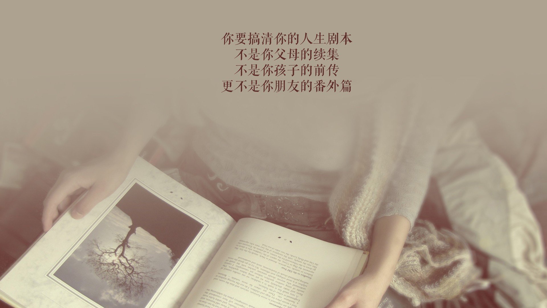 午夜太阳下的冰与火之歌，2026世界杯G组，瑞典三秒闪电战如何用登贝莱的疾速，刺穿冰岛长城